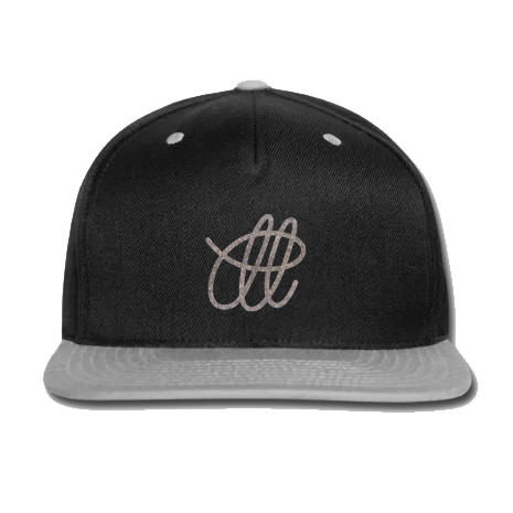Hat - Snapback (Mich logo)